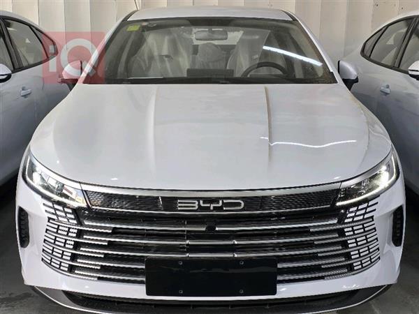 بي واي دي Qin Plus 2025 للبيع في العراق -  بغداد